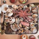 낙지천지 이미지