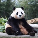 [수지구청] 음료가 맛있는 투달러커피 후기(복권 이벤트?!)