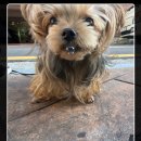 감불농장 이미지