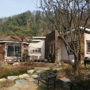 숲길따라펜션 네이버블로그