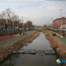 권선구청삼거리 이미지