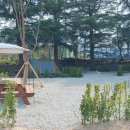 상주 감꽃마을 서울캠핑장 이미지