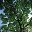 국립김해박물관 이미지