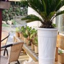 제주애락 이미지