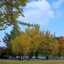 강진대구중학교 이미지