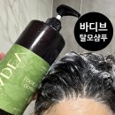 소마루트 바디밸런스 | 탈모 기능성 샴푸 바디브 미오 마테루트샴푸 사용후기