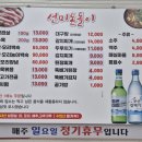 선미돈돌이