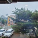 강경불고기 평택직영점 이미지