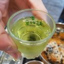 홍장어 이미지
