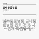 강내동물병원 네이버블로그