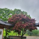 청산별 이미지