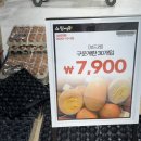 주)삼주국민마트 | 인천 yk마트 장보기 후기 8월 셋째주 신상품 yk쇼핑아울렛 장바구니