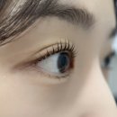 대구 죽전 속눈썹펌 [체리리뷰티] 내돈내산 후기