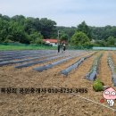 복상희공인중개사사무소 이미지