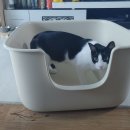 모래울화장실 이미지