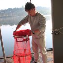 붕어의 신 이미지