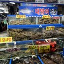 가락몰 맛집 용천수산: 킹크랩으로 즐긴 특별한 하루