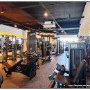 트라이 피트니스 이미지