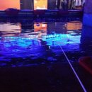 가자실내낚시터 이미지