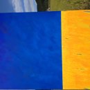 가을하늘은 울트라마린 명쾌하다 고추잠자리 날고 벼는 가을햇살을기다리는데 또가을비가온다나.50호 이미지