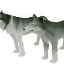 팀버 울프 [timber wolf] 이미지