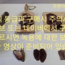 자라난약초 이미지