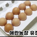애란농장 네이버블로그