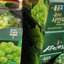 싸인제주