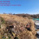 남구-111 네이버블로그