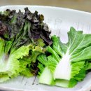 참맛한우
