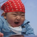 대호 Daum카페