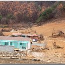 개미들마을 이미지