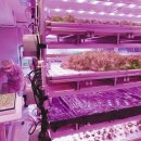 극복 농장 이미지