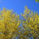 한적2길 이미지