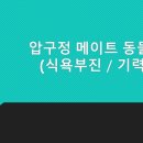 압구정메이트동물병원 이미지