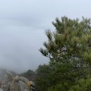 구름속의 산책 이미지