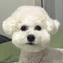 반야시스터 이미지