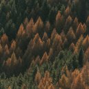 한국 SGI 이미지