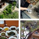 트리하우스민박 이미지