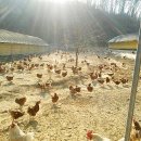 다솔농장 이미지