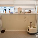 미어켓파크 이미지