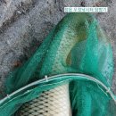 우정낚시터 이미지