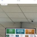 영어초급 야간 | 3. 호주 워홀 준비: 운전면허-국내에서 미리 따두길 잘한 이유