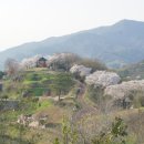 하동 이미지
