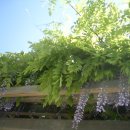 반구대로 이미지