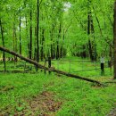 공원카센타 이미지