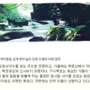 신황민박 네이버블로그