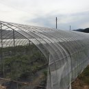 지한농장 이미지