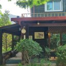 농월초계탕 이미지