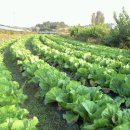 강원도 횡성군 횡성읍 읍상서로 이미지